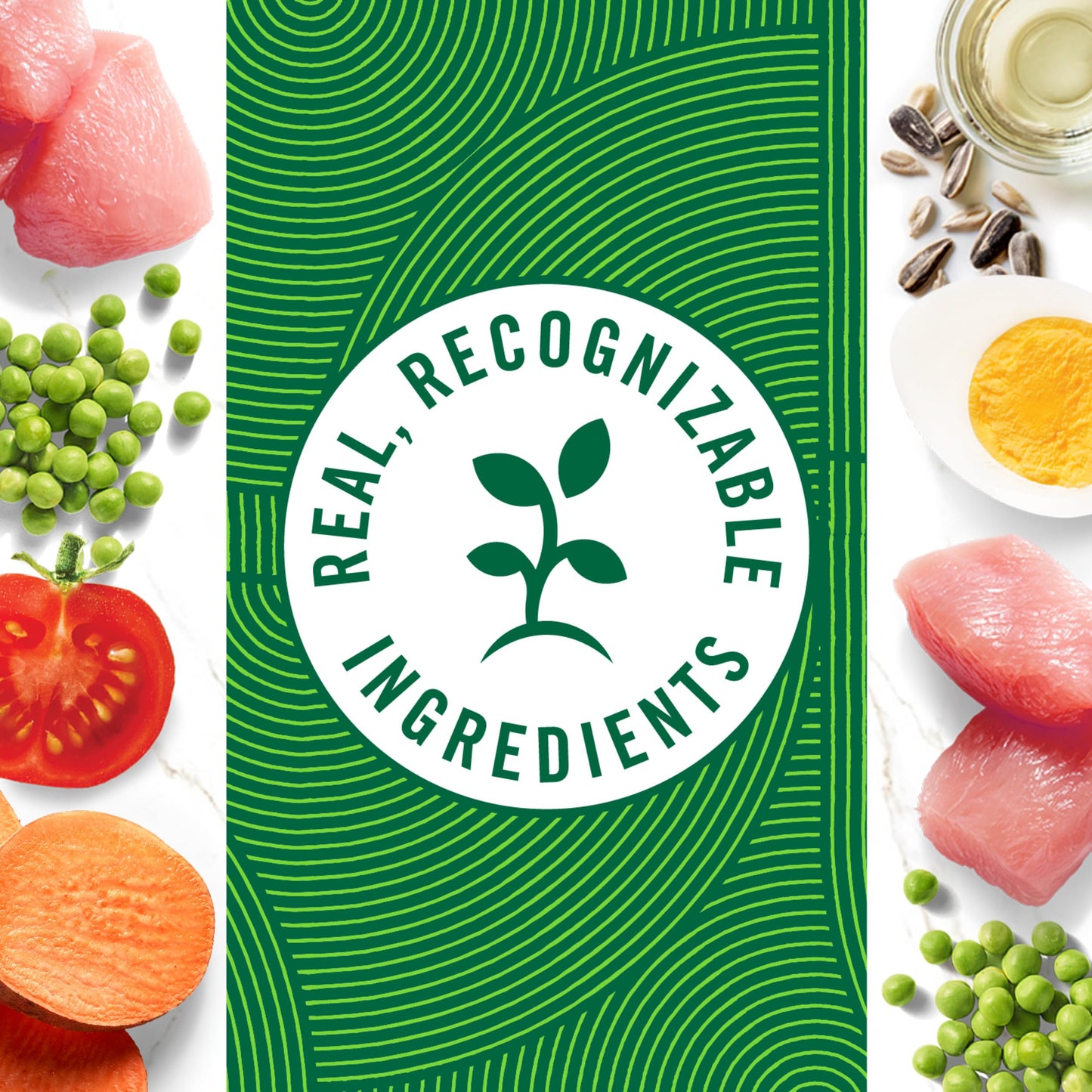 Nutro Hearty Stew Cuts in Gravy Adult Wet Dog Food Turkey Recipe, 12.5 oz Cans (12 Count, Pack of 1)