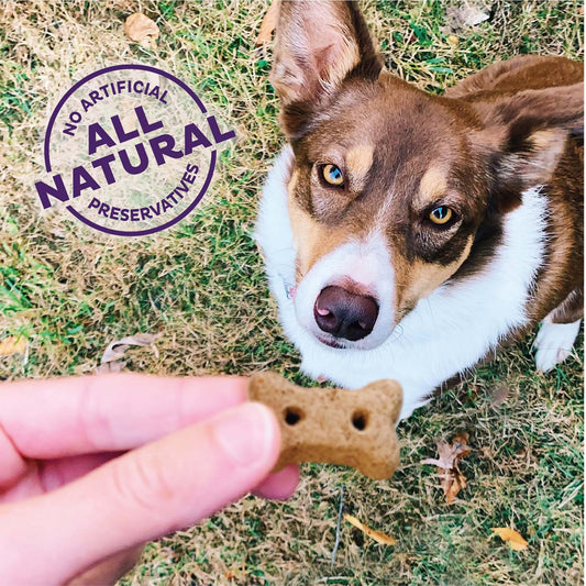 Old Mother Hubbard Wellness P-Nuttier 'N Nanners Dog Biscuits, Natural, Training Treats, Peanut Butter & Banana Flavor, Mini Size, (16 Ounce Bag)