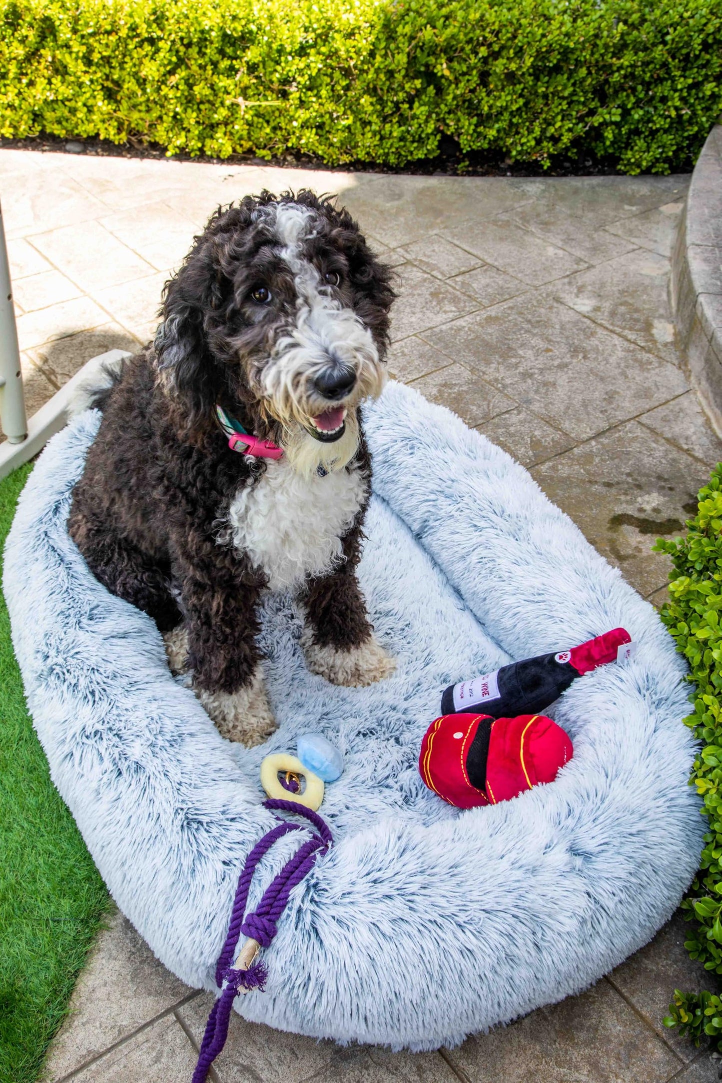 Ultra Soft Calming Faux Fur Dog Bed with Memory Foam Bolster and Egg Crate Foam Base (35.4 x 25.6 x 7.9)