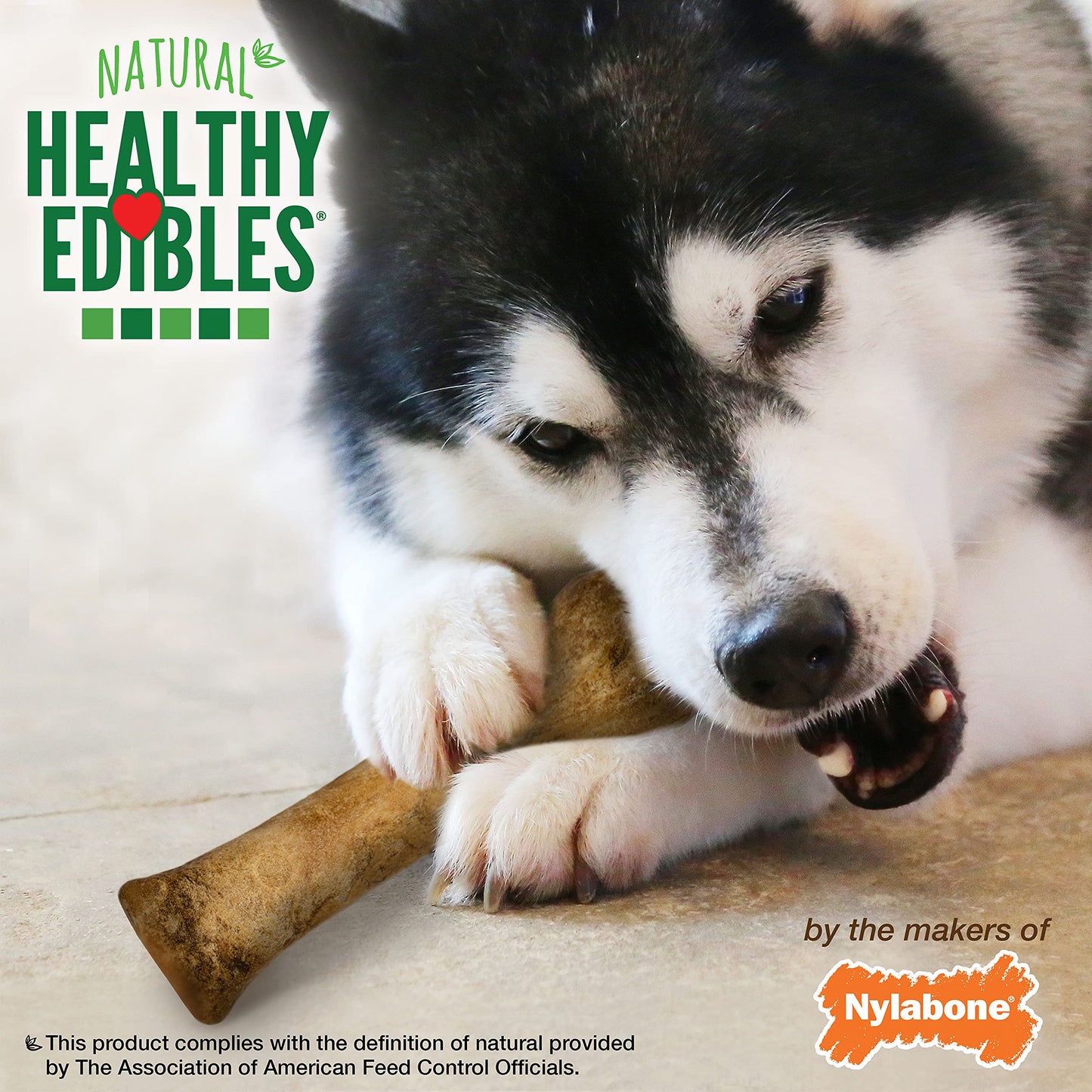 Nylabone Healthy Edibles Natural Dog Chews Long Lasting Bacon Flavor Treats for Dogs, X-Large/Souper (1 Count)