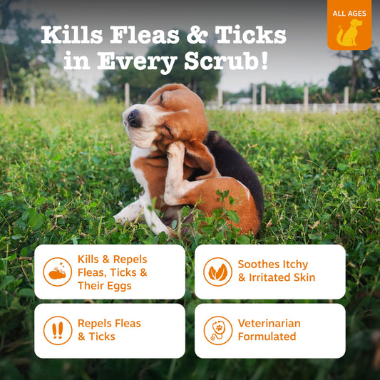 Zesty Paws Multivitamin Bites Chicken + Flea and Tick Shampoo for Dogs