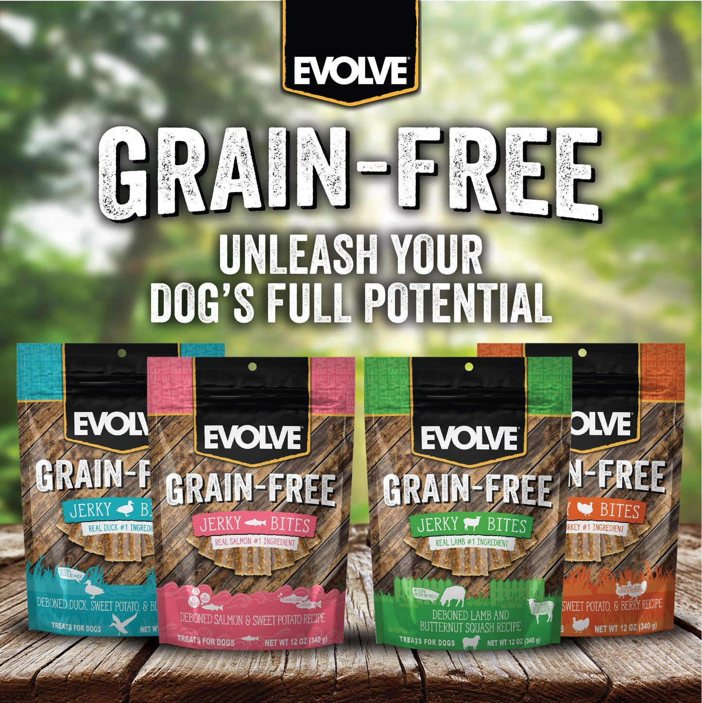 Evolve Grain Free Salmon and Sweet Potato Jerky Bites Dog Treats