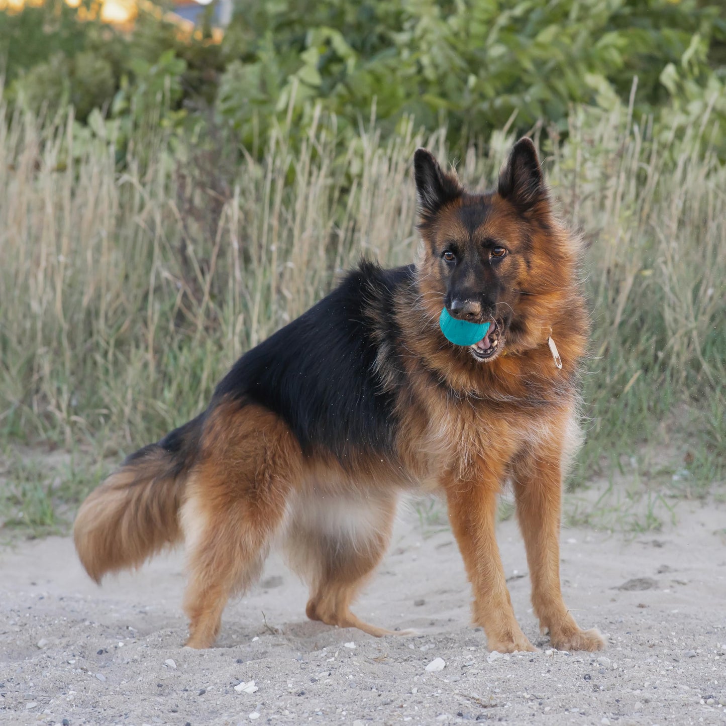 Chew King Flavored Rubber Ball Collection, 4 Inch Peanut Butter Flavor Rubber Balls 2-Pk