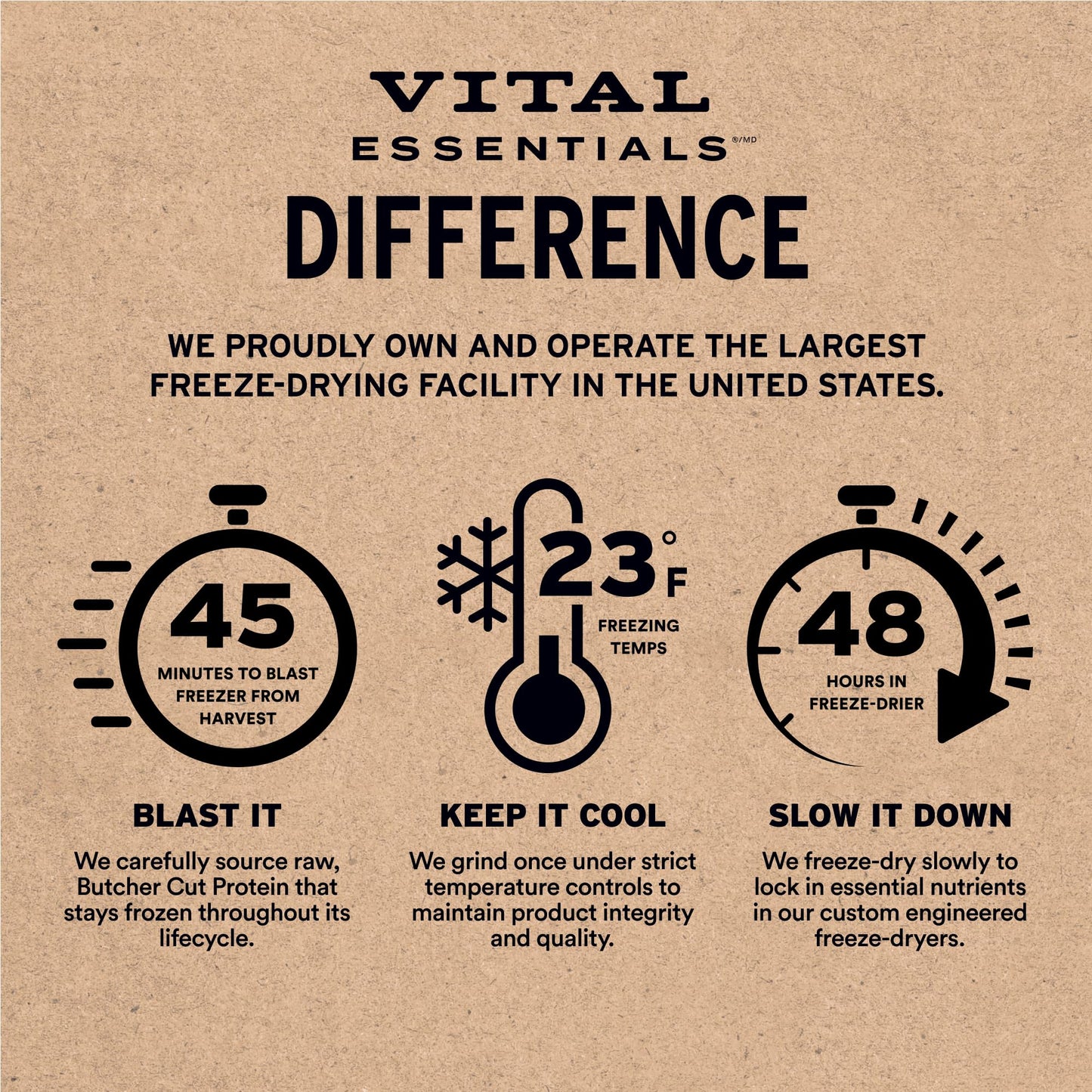 Vital Essentials Salmon Bites Dog Treats, 2.5 oz | Freeze-Dried Raw | Single Protein | Premium Quality High Protein Training Treats | Grain Free, Gluten Free, Filler Free