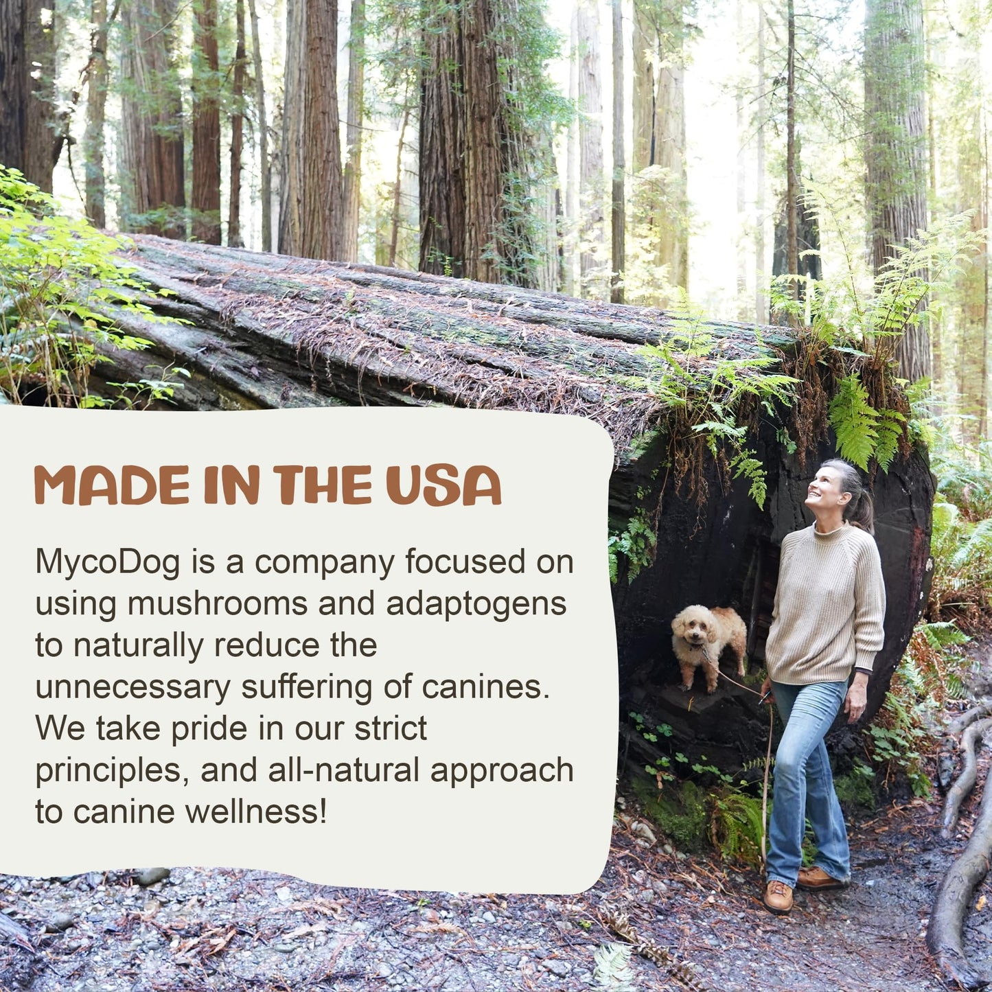 Phycox MAX Joint Supplement Small Bites for Dogs, 120 ct