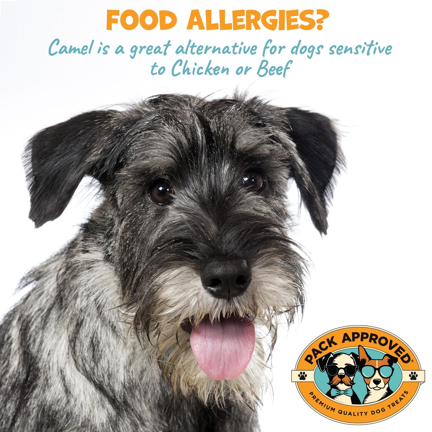 Pack Approved Camel Skin Dog Chews for Aggressive Chewers - Hypoallergenic Natural Collagen Sticks for Dental Health & Protein Boost - Long Lasting Treats for Large Dogs