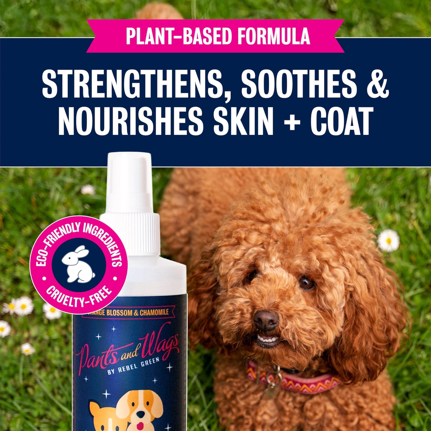 Rebel Green Pants & Wags Anti-Itch & Scratch Dematting Spray - Dog Hair Detangler - Orange Blossom & Chamomile - Hypoallergenic - No Dyes or Perfumes - 8 oz - 2 Pack