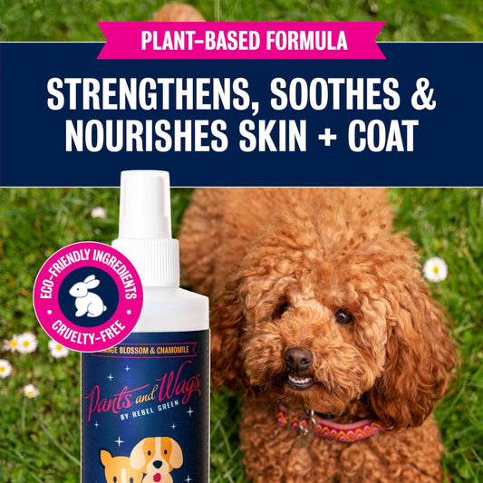 Rebel Green Pants & Wags Anti-Itch & Scratch Dematting Spray - Dog Hair Detangler - Orange Blossom & Chamomile - Hypoallergenic - No Dyes or Perfumes - 8 oz - 2 Pack