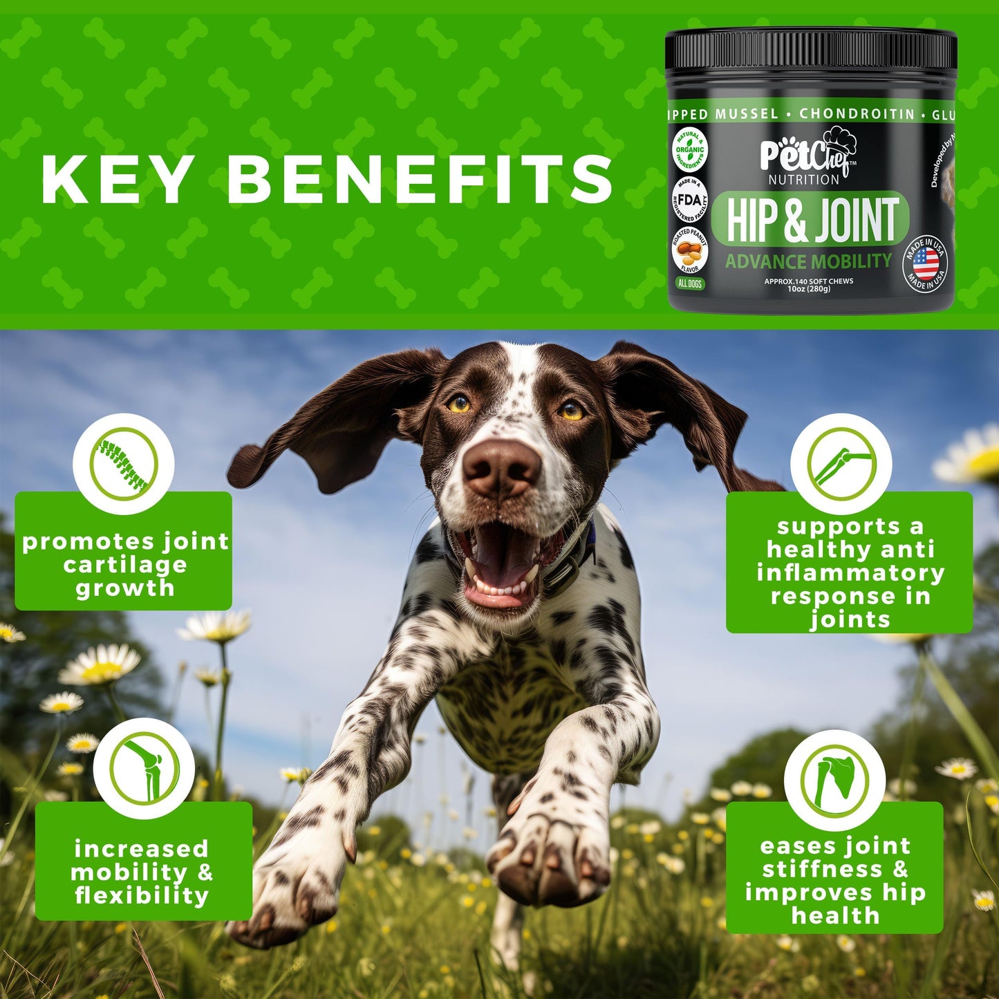 Pet Chef Dog Hip & Joint Pain Relief Supplement - Glucosamine, Chondroitin, MSM, Turmeric - Cannine Arthritis Pain Relief & Mobility Chews - Hip Joint Support Treats Peanut Butter 140ct Best Price!