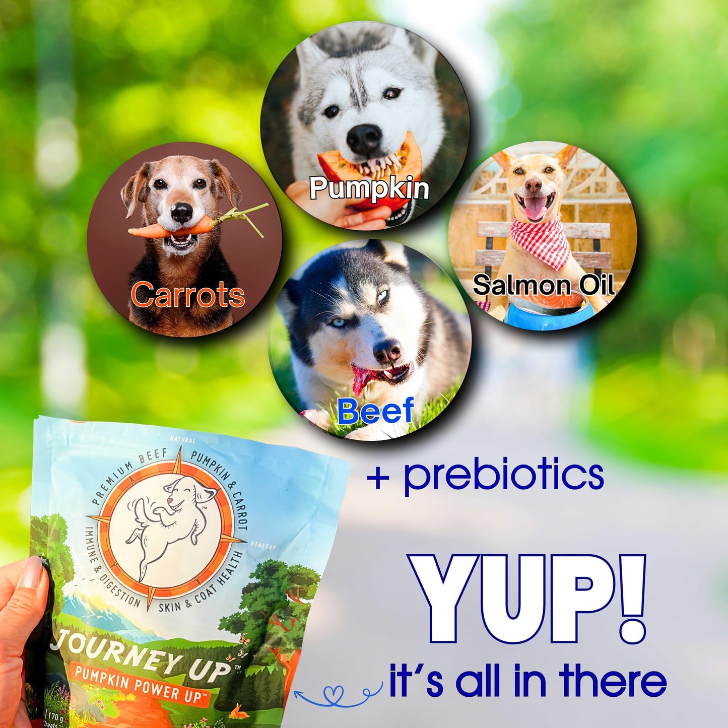 HappyTails Journey Up, Pumpkin Power Up Jerky Treats for Dogs with Beef, Pumpkin & Carrots-Made in USA-Prebiotics for Gut & Immune Health, Omega 3 & 6 for Skin & Coat, Small-Large Dogs, 6 oz.