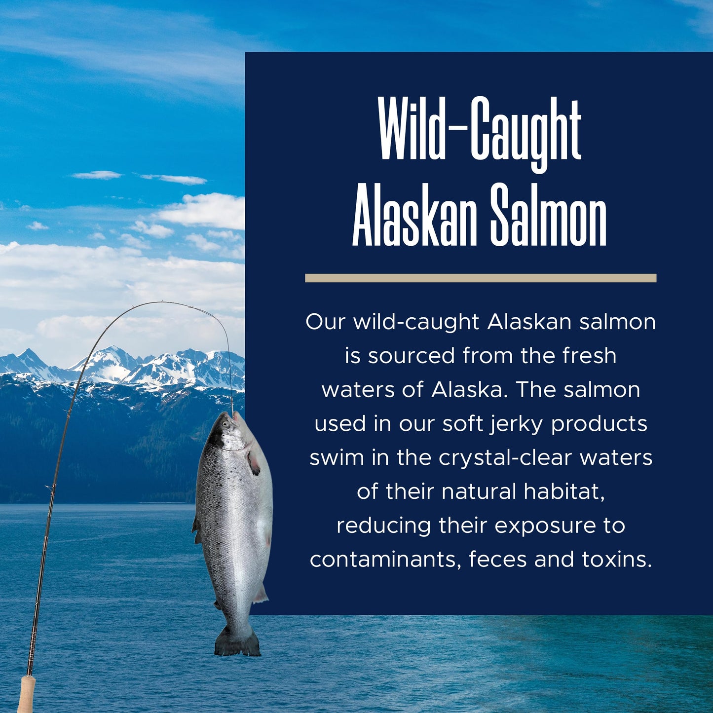 Smarty Pup Salmon Jerky - 12 oz of Fruit, Veggies, and Fish Dog Treats – Puppy Jerky Made with Apples, Carrots, Sweet Potato, Wild Alaskan Salmon, Blueberries, Cranberries, and More