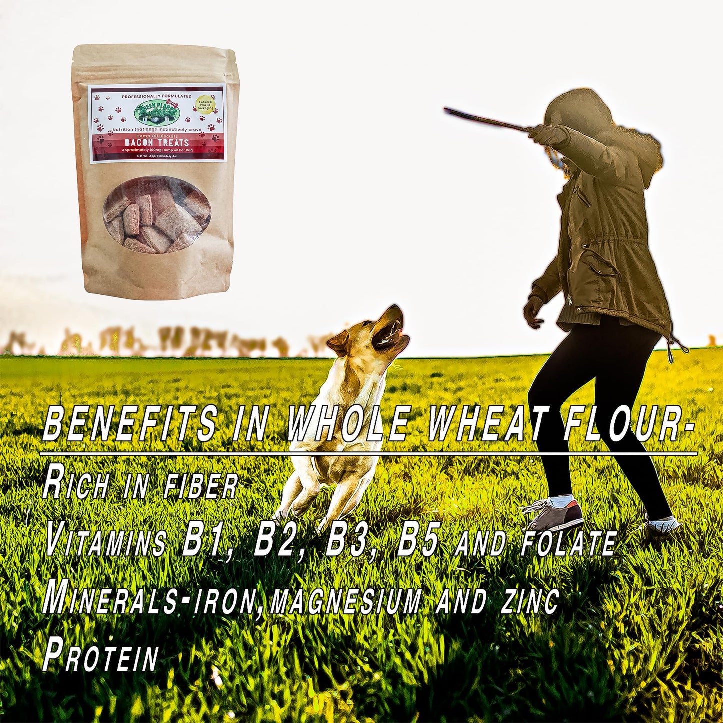 Green Planet Hemp Dog Treats | Bacon 100mg of Hemp Per Bag | 100% Natural and Non GMO | Offers Your Pet Hip, Joint, and Muscle Support | Aids with Anxiety,Stress, and Pain