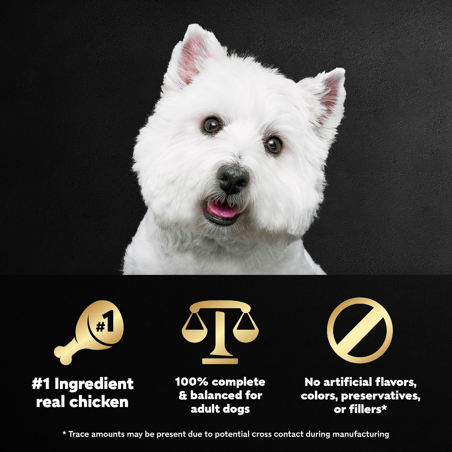 Cesar Wholesome Bowls Adult Wet Dog Food, Chicken Recipe, 3 oz. (10 Count, Pack of 1)