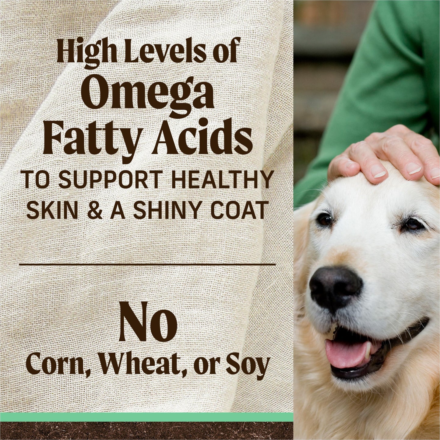 Merrick Premium Grain Free Dry Senior Dog Food, Wholesome And Natural Kibble, Real Chicken And Sweet Potato - 4.0 lb. Bag