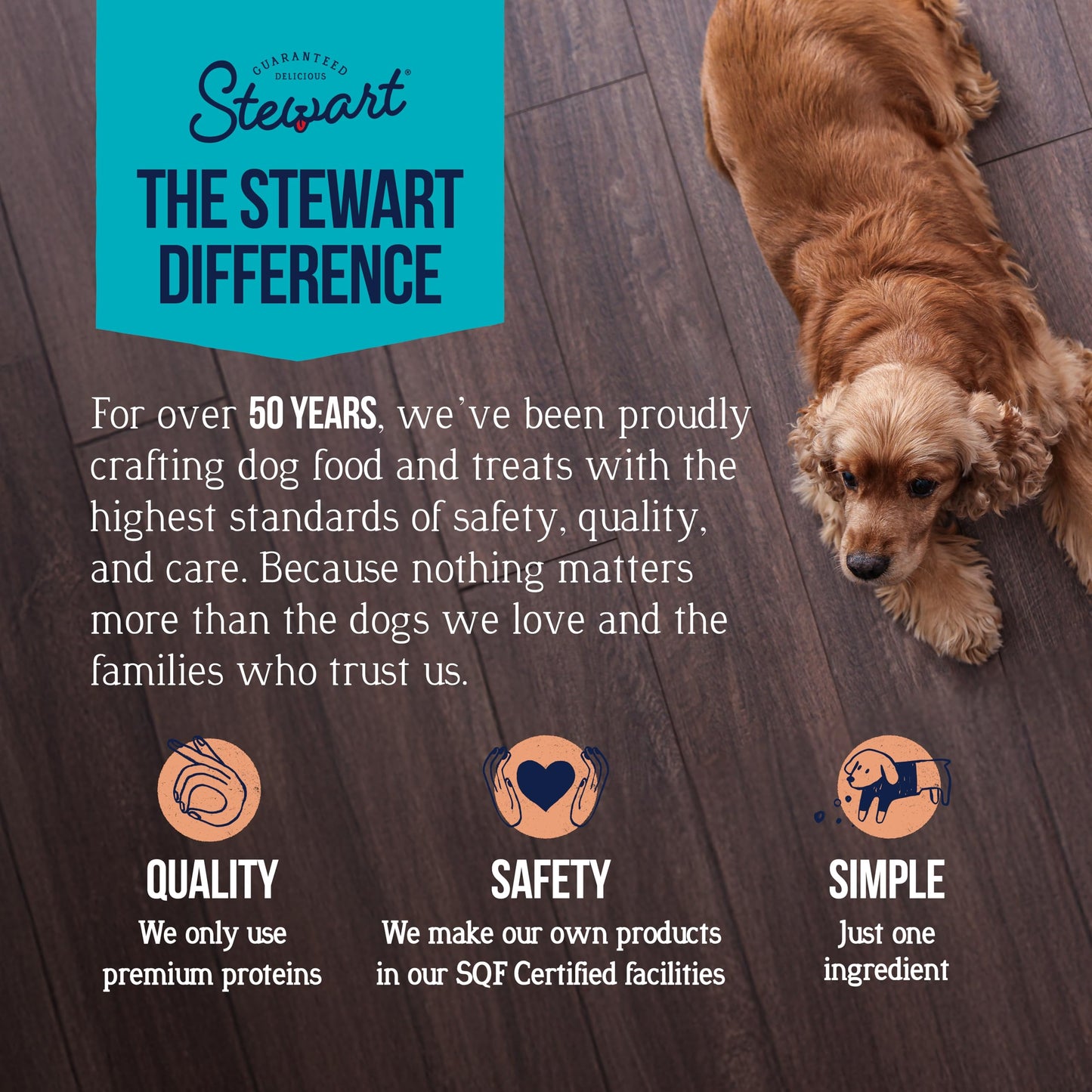 Stewart Single Ingredient Freeze Dried Raw Dog Treats, Wild Salmon, 2.75 Ounce, Approx. 55 Pieces per Resealable Pouch, Training Treats or Meal Topper, High Protein, Grain Free, Gluten Free