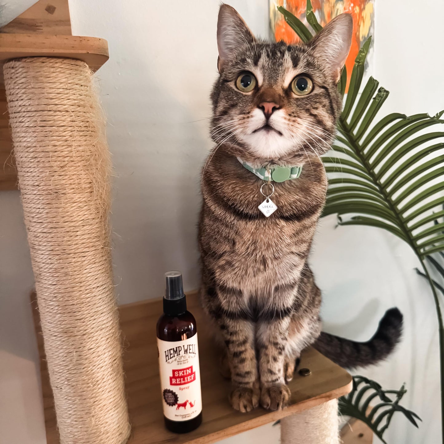 BURT'S BEES FOR PETS Bundle - Ear Cleaner with Peppermint & Witch Hazel (4 oz) & Itch Soothing Spray with Honeysuckle (10 oz), Natural Dog Ear & Skin Care for Gentle Cleaning & Itch Relief