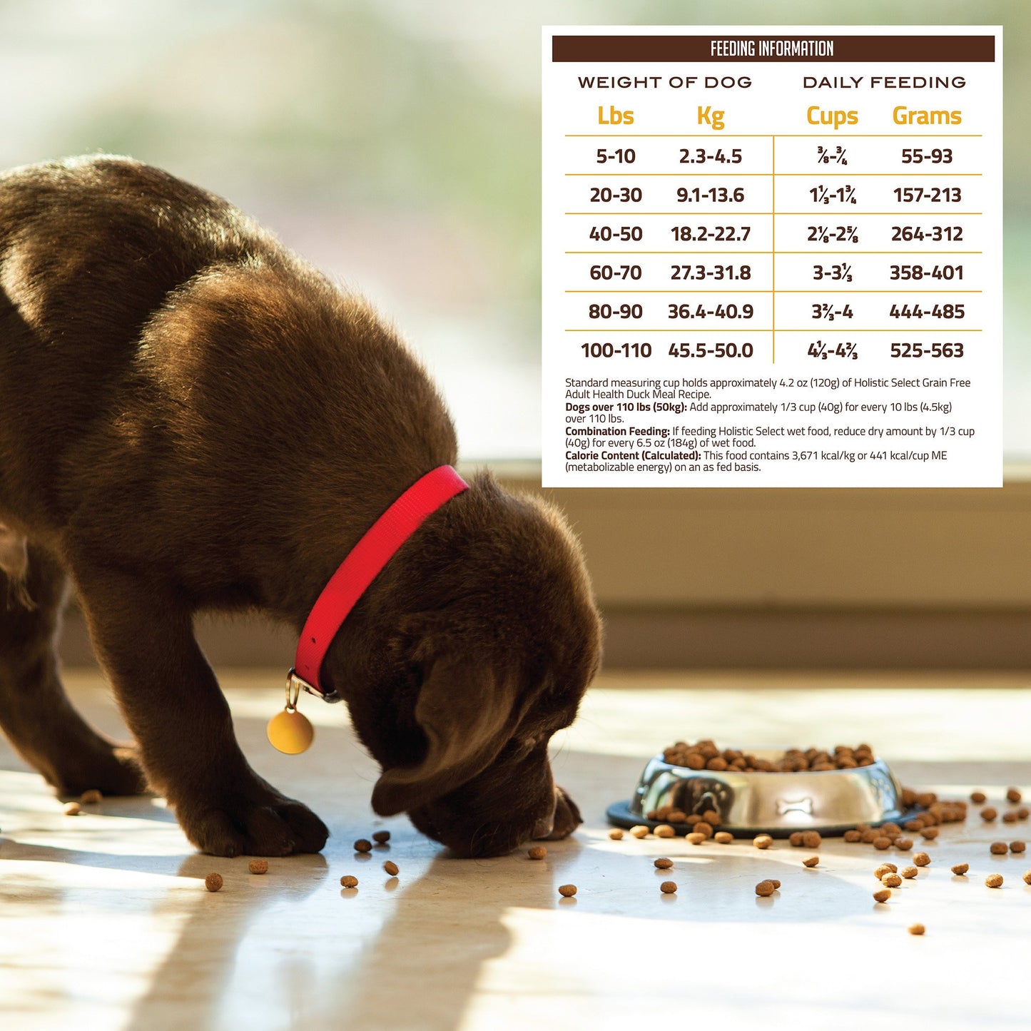 Holistic Select Natural Grain Free Dry Dog Food, Duck Meal Recipe, 24-Pound Bag