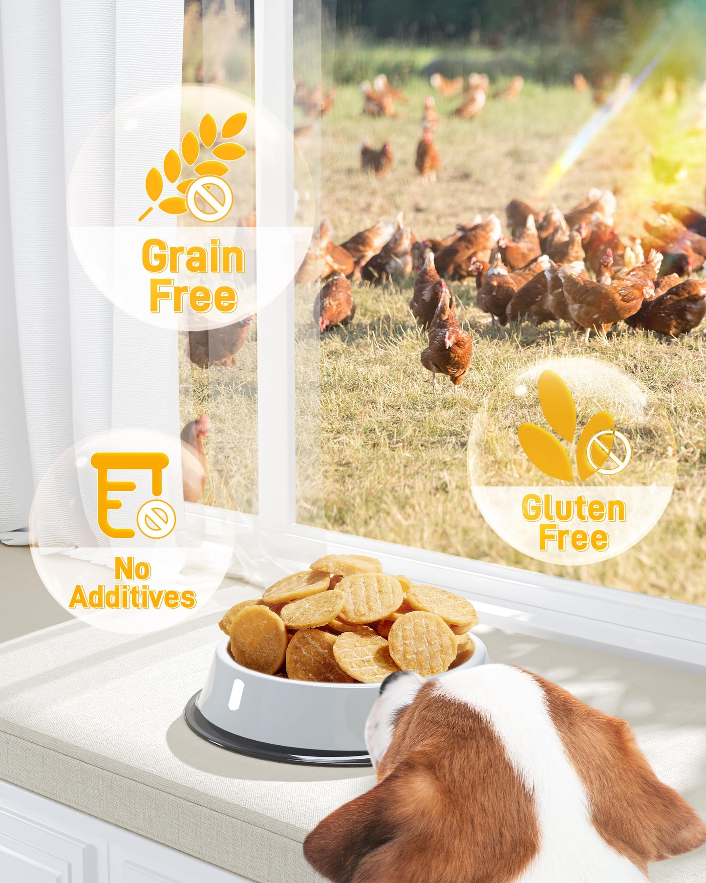 Pawaura Chicken Chips Dog Treats, 10.58 oz Crunchy Training Treats for Dogs, Single Ingredient Dog Treat - Dried Chicken Jerky for All Breedd Dogs, 100% Natural