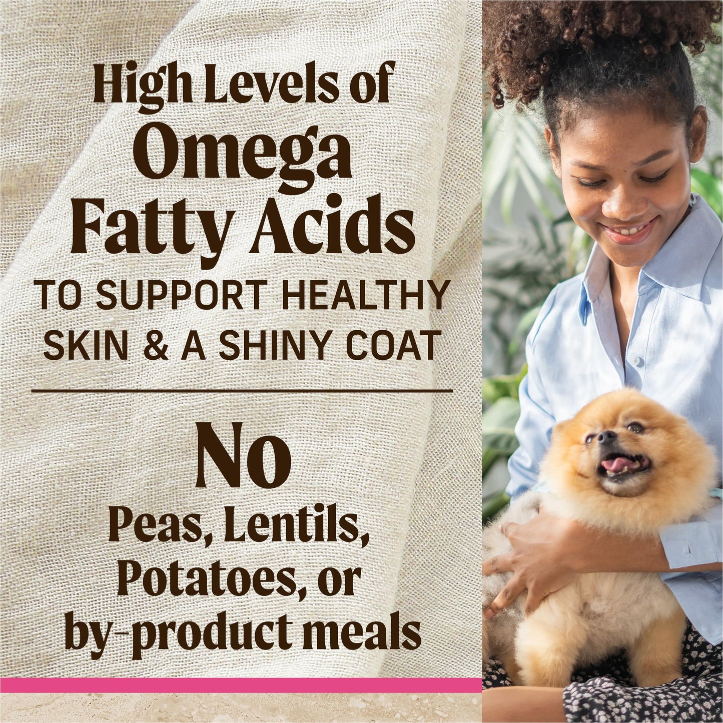 Merrick Healthy Grains Premium Dry Dog Food for Small Dogs, Wholesome and Natural Kibble, Small Breed Recipe - 12.0 lb. Bag