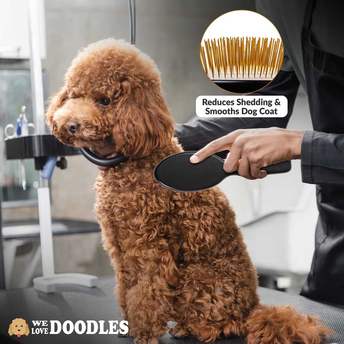 We Love Doodles Puppy Shampoo & Conditioner and Pin Brush | Oatmeal Bathing | Sensitive & Itchy Skin Wash | Brush for Grooming Pet Hair | Brush for Shedding and Removing Loose Fur | Made in USA