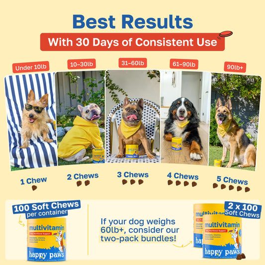 Happy Paws Multivitamin for Dogs, Soft Chews with Green Lipped Mussel, Sea Kelp, Colostrum, & Essential Vitamins for Overall Health, Lamb Flavor Soft Chews, 100 Count