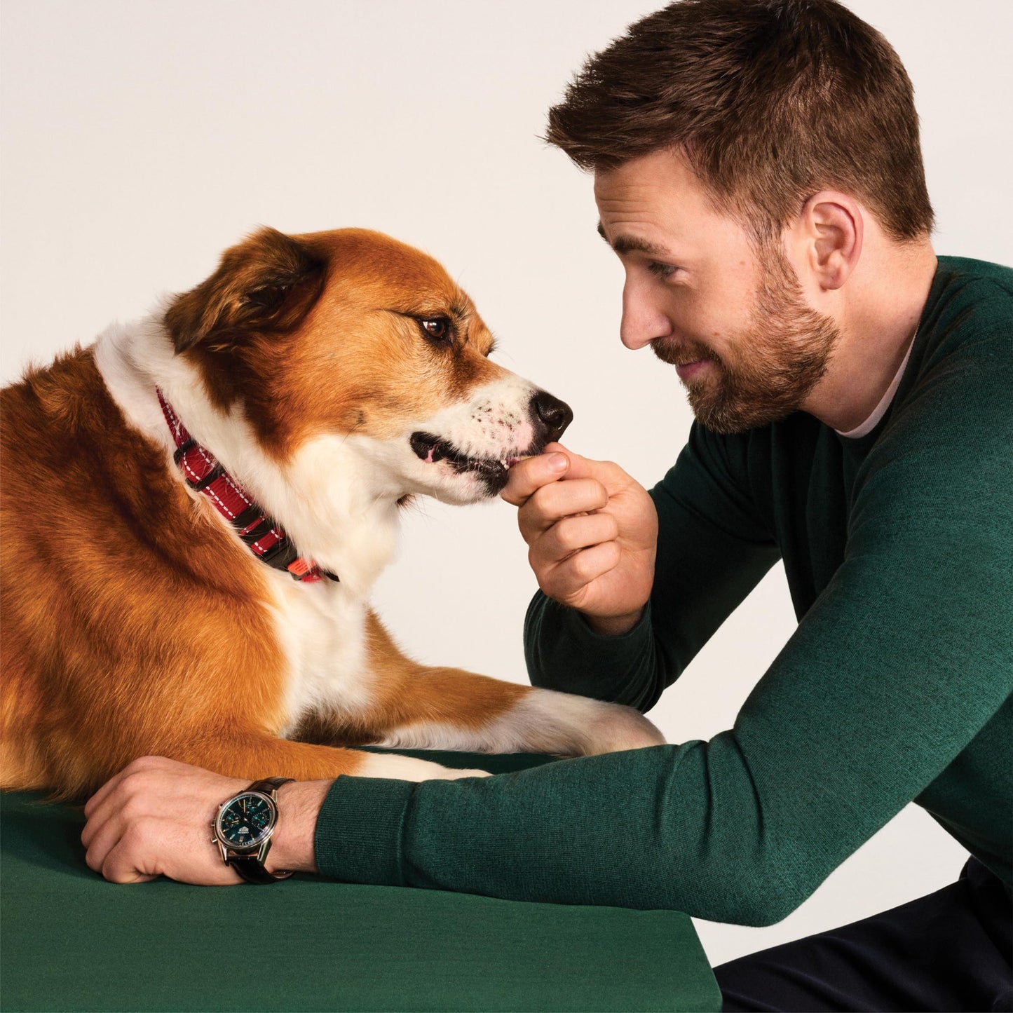 Jinx Chicken Bites Jerky Dog Treats - Soft & Chewy, All Natural Dog Jerky Treats with Cage-Free Chicken - Pet Products for All Dogs (Puppies, Adults & Seniors) - 15oz