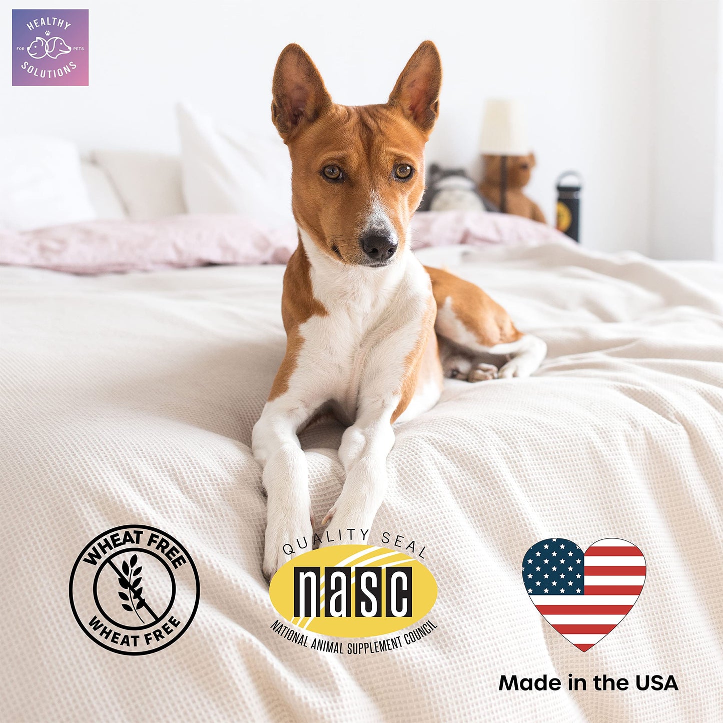 Calming Chews for Dogs - Dog Calming Treats for Anxiety & Stress Relief with Melatonin and Ginger - Aid with Storms, Grooming, Fireworks, Separation, Travel, Motion Sickness, & Sleep - 60 Soft Chews