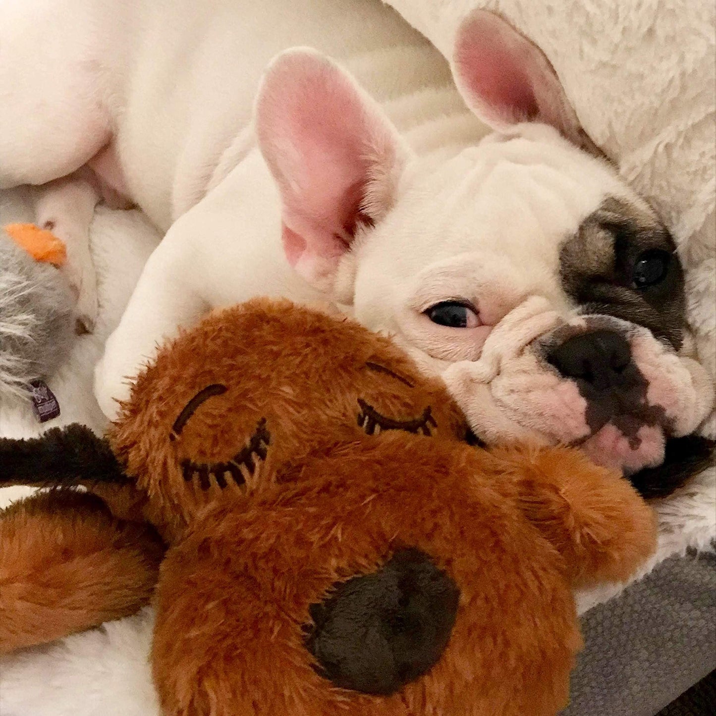 Original Snuggle Puppy Toys - Heartbeat Puppy for Dogs - Pet Anxiety Relief and Calming Aid - Comfort Dog Toys for Behavioral Training