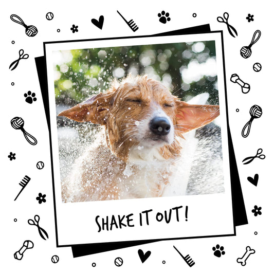 Dog Shampoo by Bugalugs Lavender & Chamomile 4 in 1 Dog Grooming Shampoo Products for Smelly Dogs with Fragrance, Best Puppy Shampoo, Vegan pet Shampoo & Conditioner