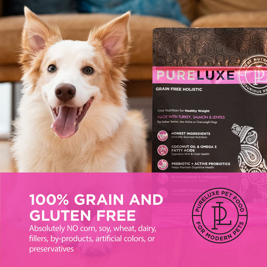 PURELUXE Grain and Gluten Free Dog Food, Healthy Weight Elite Nutrition, Turkey, Salmon and Lentils, for Indoor Senior, Less Active or Overweight Dogs at All Life Stages, Made in The USA, 4lbs