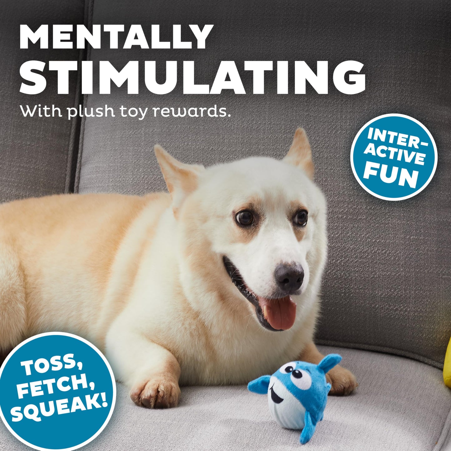 Outward Hound Hide A Surf Van Plush Dog Toy Puzzle