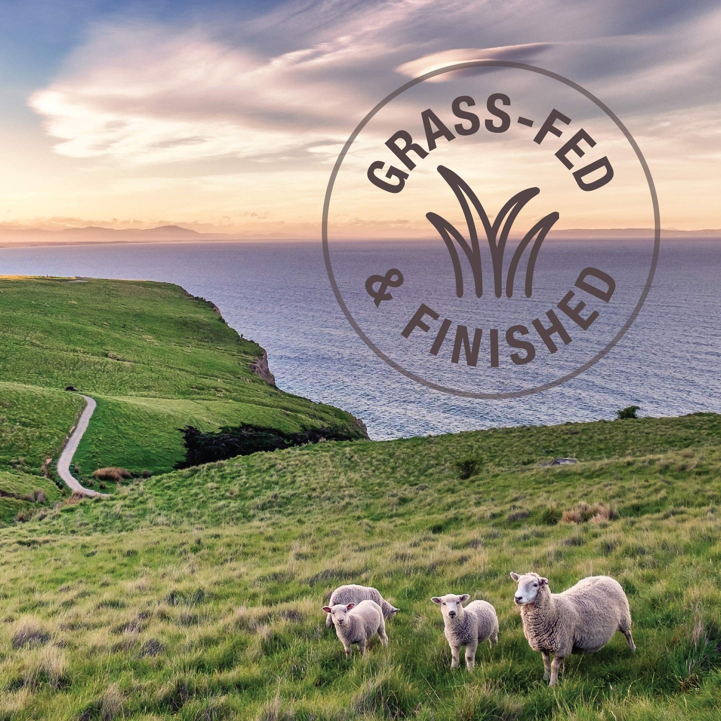 K9 Natural - Grain Free Freeze Dried Dog Food - Hoki & Beef, 17.6oz