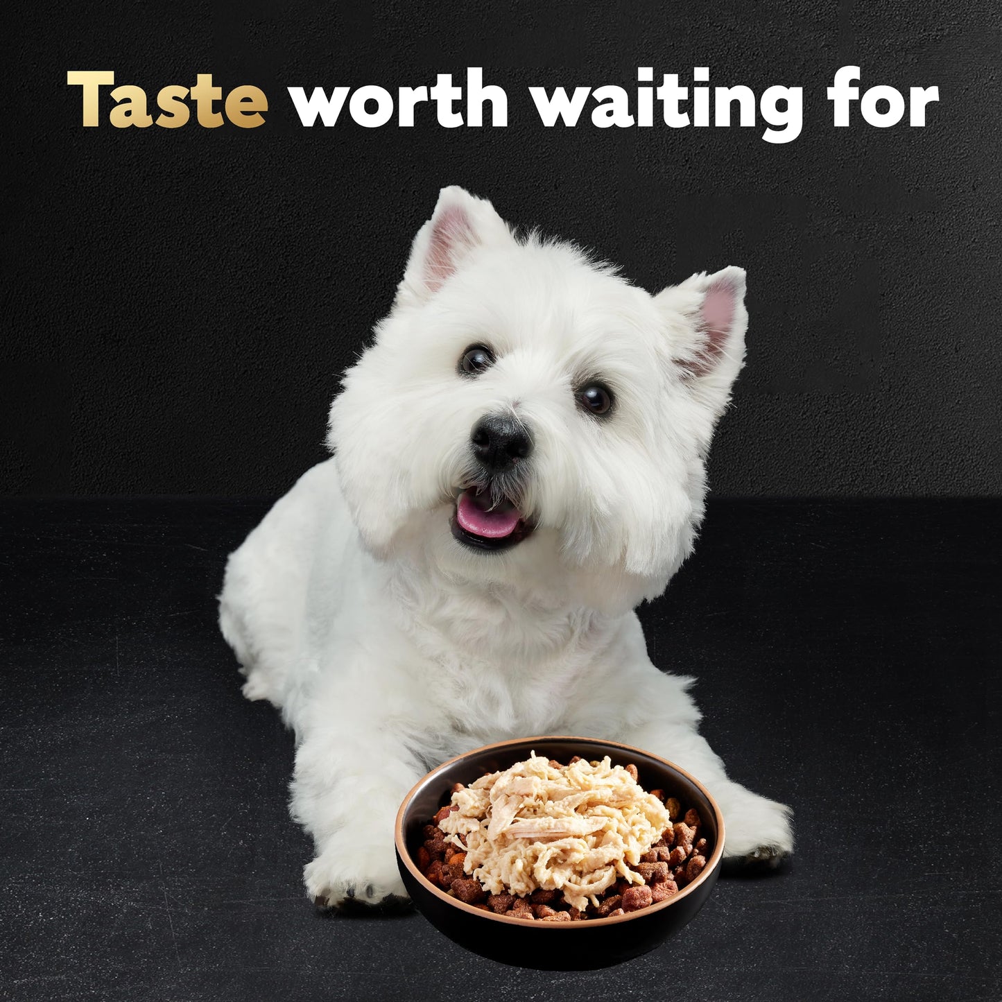 Cesar Wholesome Bowls Adult Wet Dog Food, Chicken Recipe, 3 oz. (10 Count, Pack of 1)