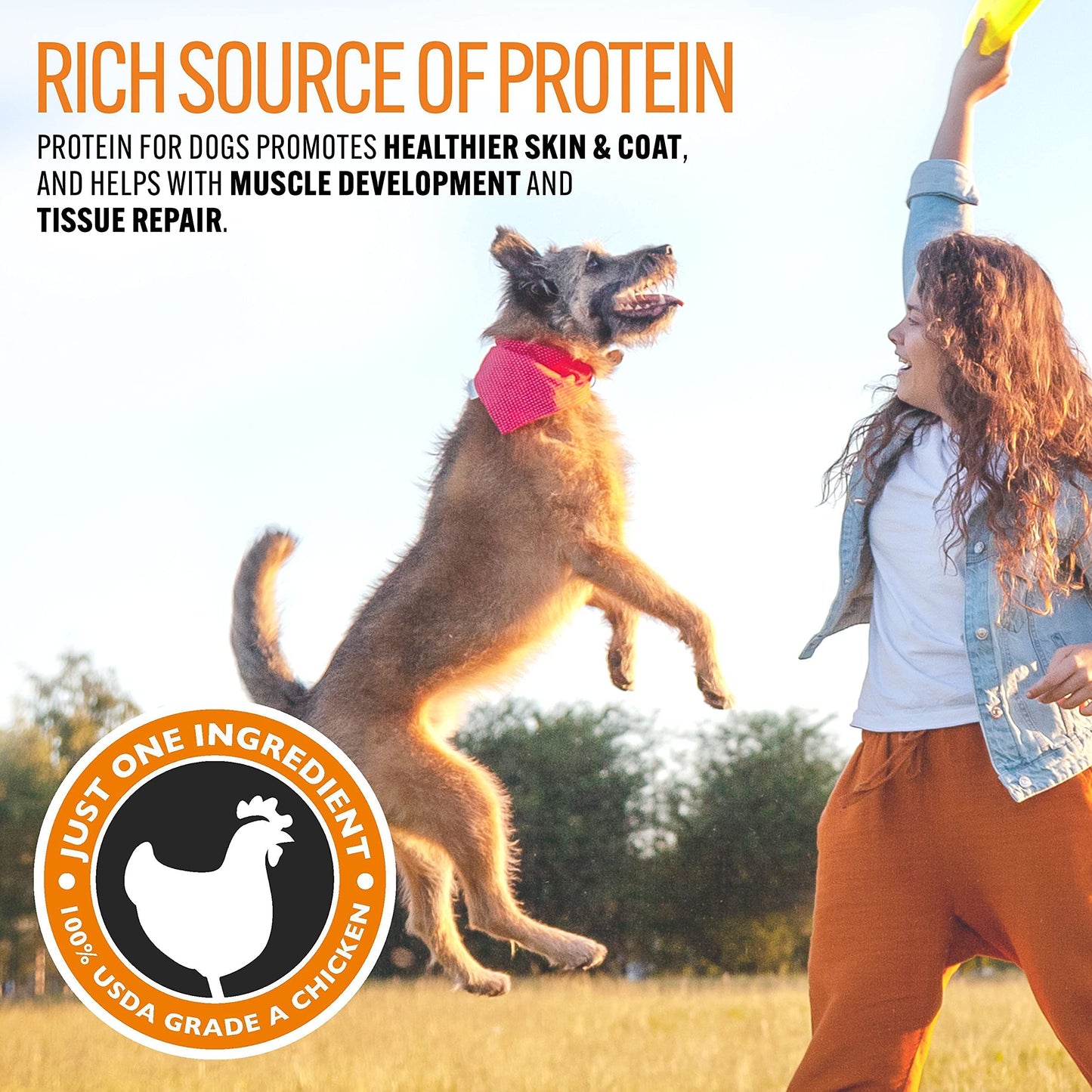 Emmy's Best EBPP Chicken Jerky Dog Treats Made in USA - 100% Natural Jerky Treats Made with Real Chicken - Grilled Chicken Strips for Medium Dogs, Large and Small Dogs