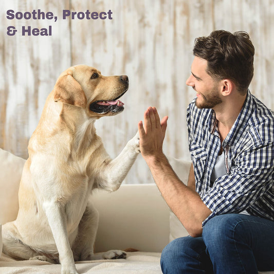 Mighty Mutt Organic Dog Paw Balm – Easy to Use, Moisturizing & Soothing Dog Pad Paw Balm | Softens Cracked & Dry Paws | Natural, Pet Friendly, Hypoallergenic Paw Balm Dogs – Unscented | 1.76 oz