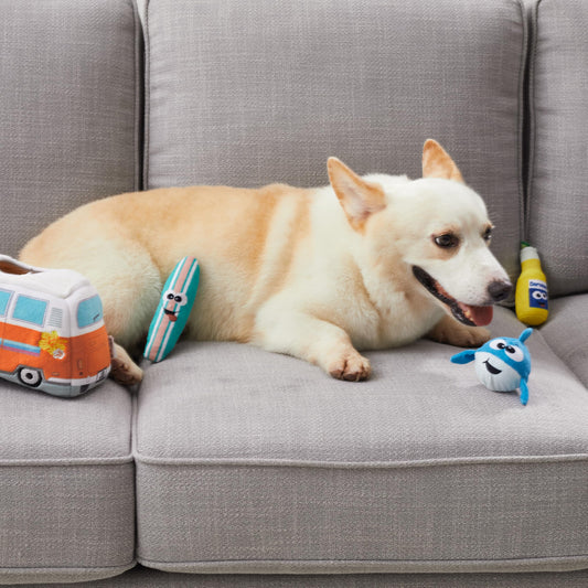 Outward Hound Hide A Surf Van Plush Dog Toy Puzzle