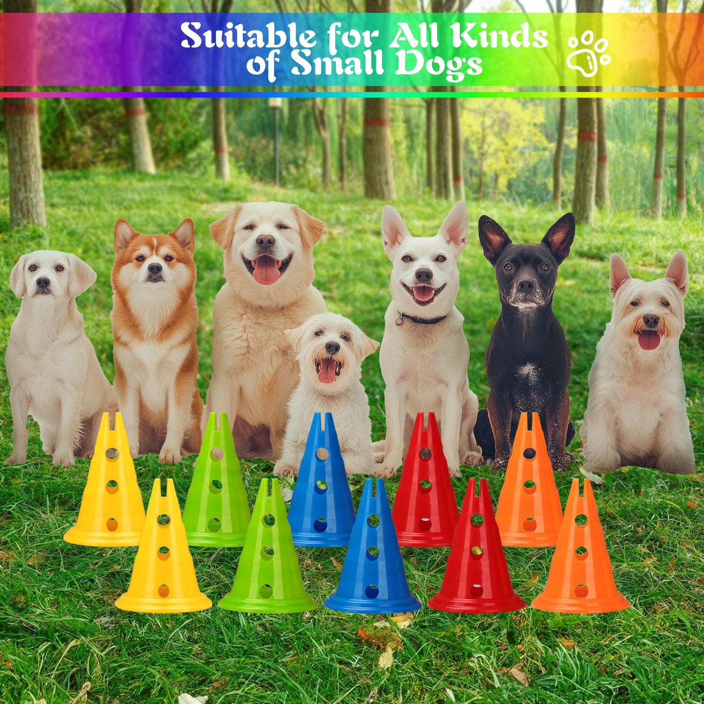 DiDiBirDi 6 Sets Dog Agility Hurdle Cone Set, Adjustable Obstacle Training for Puppy, Pet Crossbar Combo for Beginners for Backyard, 5 Sets x Pole Obstacles,1 Set x Hoop Jump