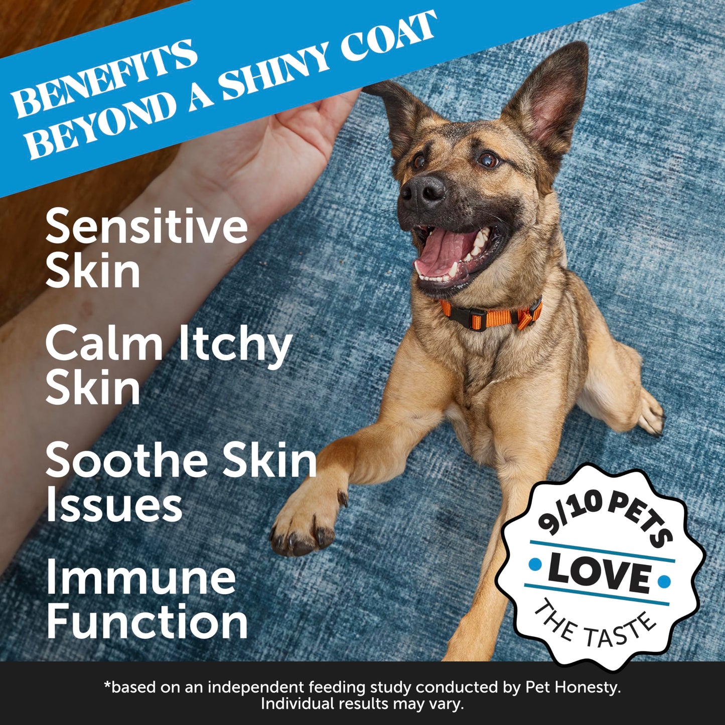 Restore + Soothe Shampoo for Sensitive Skin for Dogs & Cats (Lavender) 12oz + Omega SkinHealth Chews for Dogs with Omega 3 Fish Oil and Salmon Oil for Healthy Skin, Itchy Skin Relief (90 C