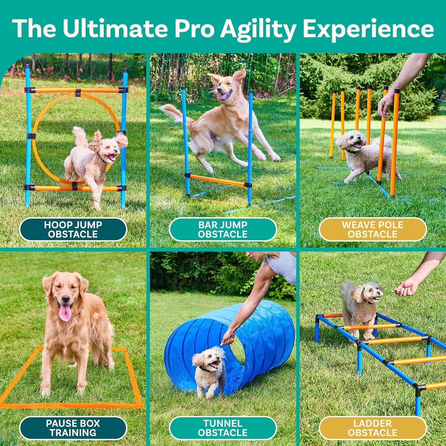 PetCove Dog Agility Obstacle Course Set for Backyard Training and Jumps - Dog Agility Course Backyard Set for Training Sessions & Competitions - Exercise Equipment with Tunnel