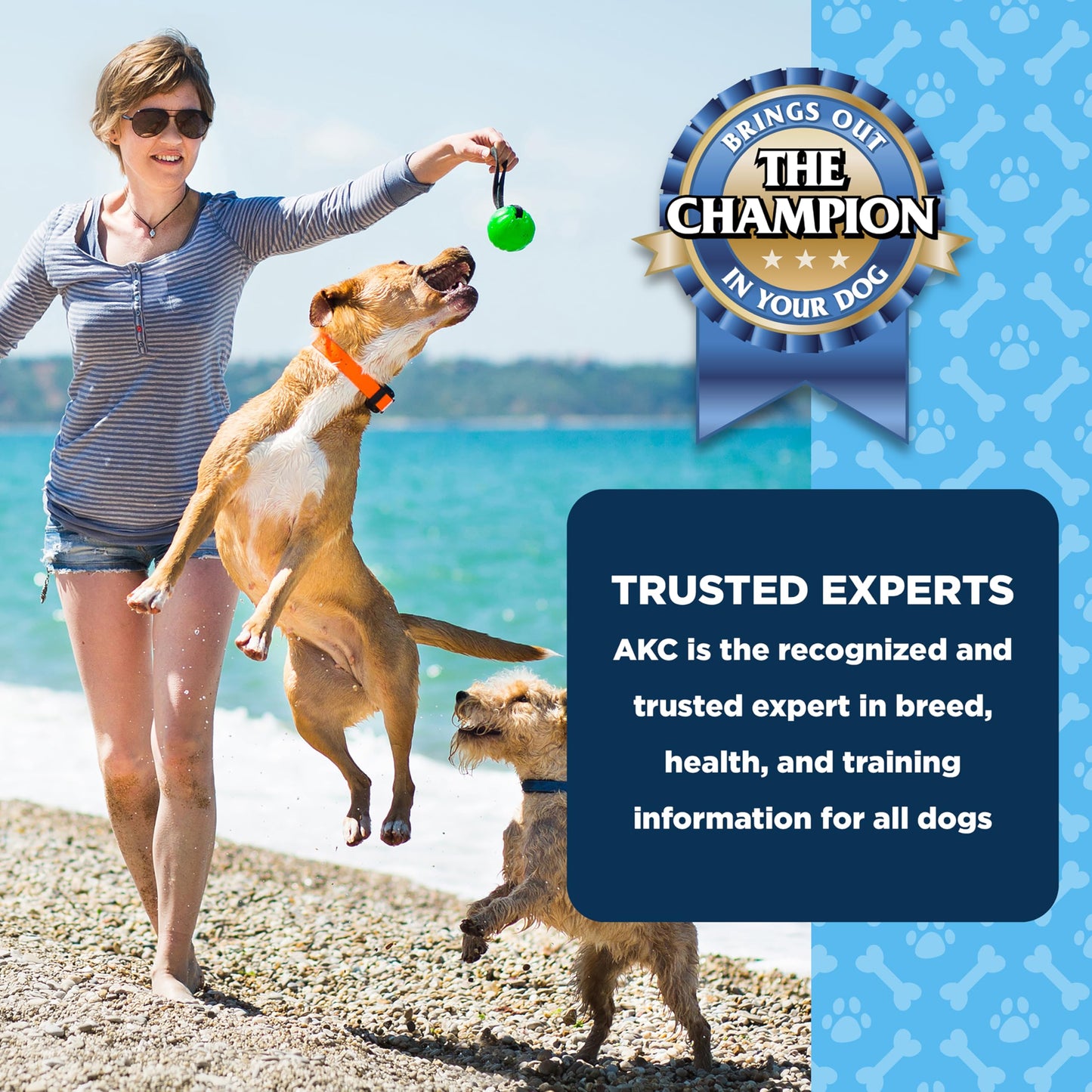 American Kennel Club Dentacare Yogurt and Peanut Butter Dental Dog Treats, Naturally Flavored, Good for Dog Dental Health, 20 Count