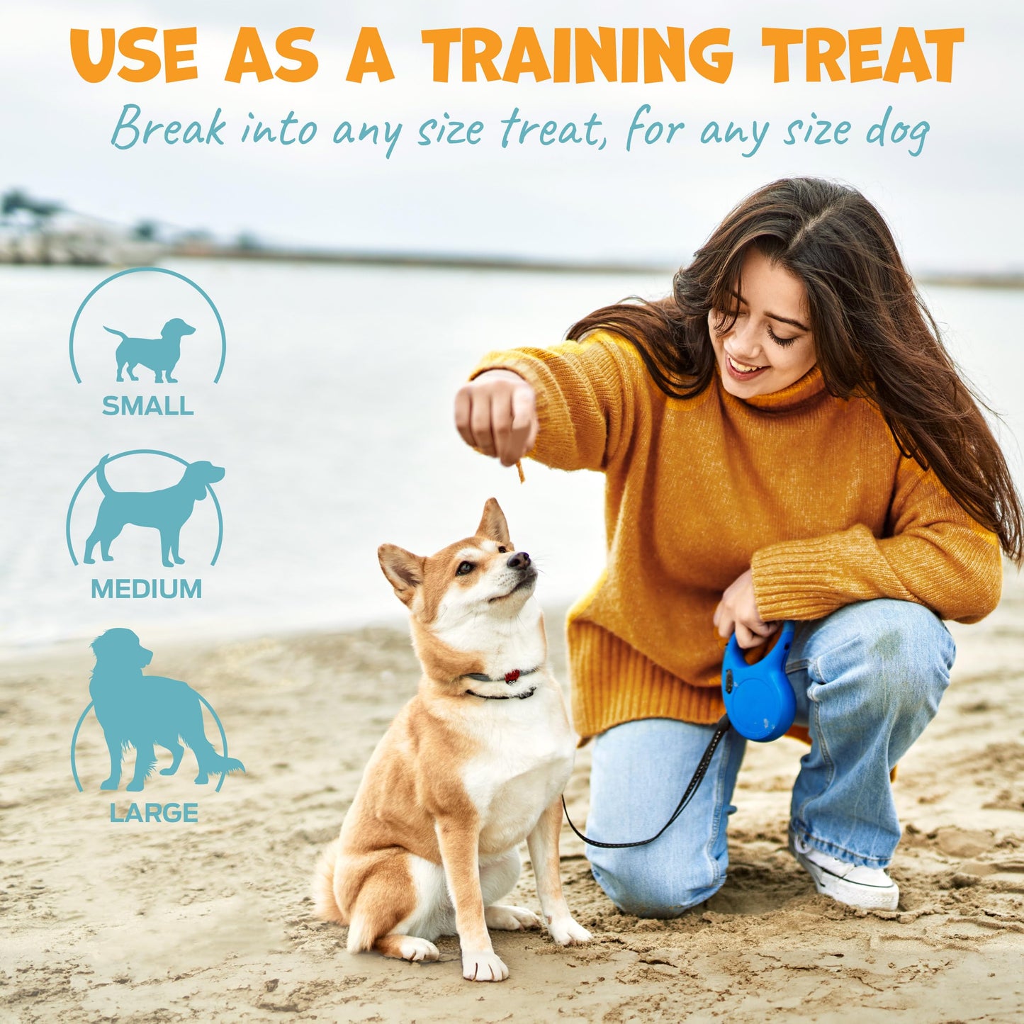 Pack Approved Chicken Sticks for Dogs - Dehydrated Chicken Jerky Treats. Single Ingredient Made and Sourced in America - High Protein, Low Fat - Crunchy Treat Sticks - 6.2oz