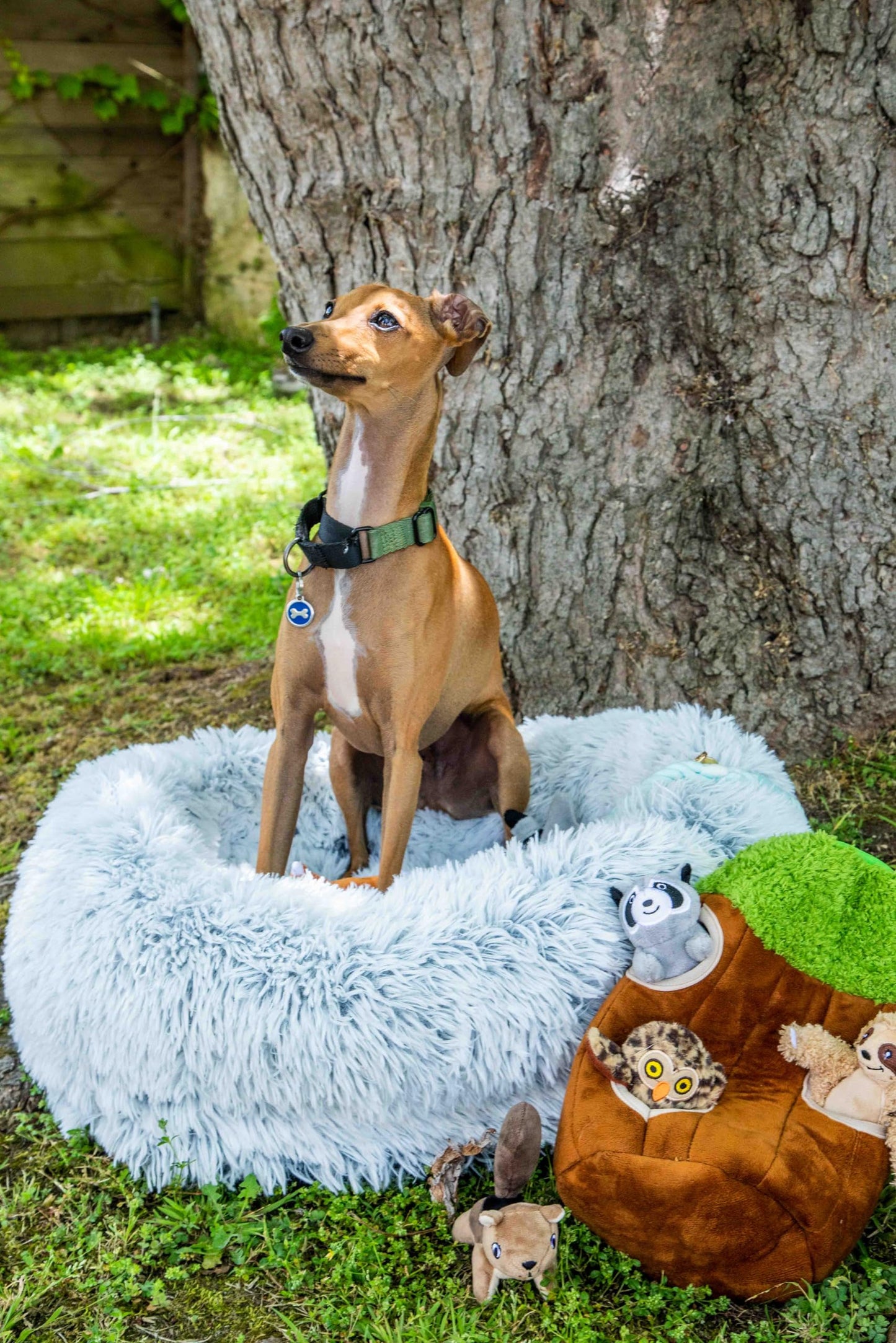 Ultra Soft Calming Faux Fur Dog Bed with Memory Foam Bolster and Egg Crate Foam Base (35.4 x 25.6 x 7.9)