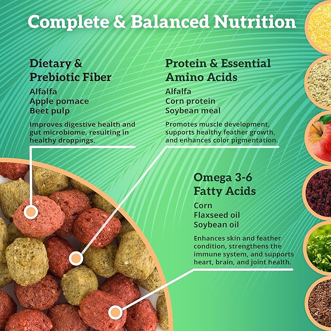 Scenic Mix Paradise Premium Parrot Food - Apple & Natural Flavors, High Protein, Low Iron Conure Bird Food, Eclectus & Other Small Pet Parrots, Omega 3, Vitamins & Minerals, 2 LB Bag