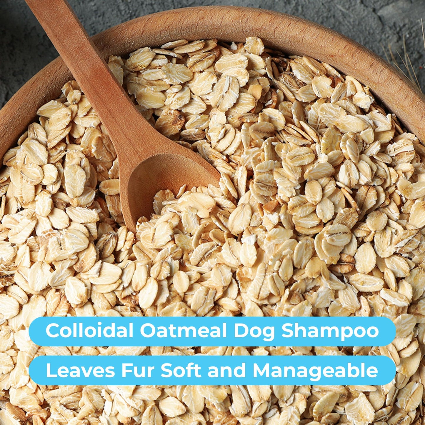 Pawtitas Dog Shampoo and Conditioner All Natural and Hypoallergenic Shampoo for Puppy Made with Certified Organic Natural Herbs Dog Conditioner 16 Oz Dog Shampoo Lavender Chamomile & Goldenseal