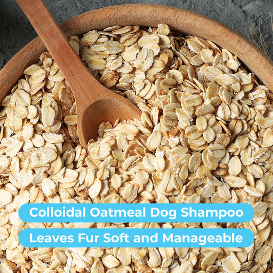 Pawtitas Dog Shampoo and Conditioner All Natural and Hypoallergenic Shampoo for Puppy Made with Certified Organic Natural Herbs Dog Conditioner 16 Oz Dog Shampoo Lavender Chamomile & Goldenseal