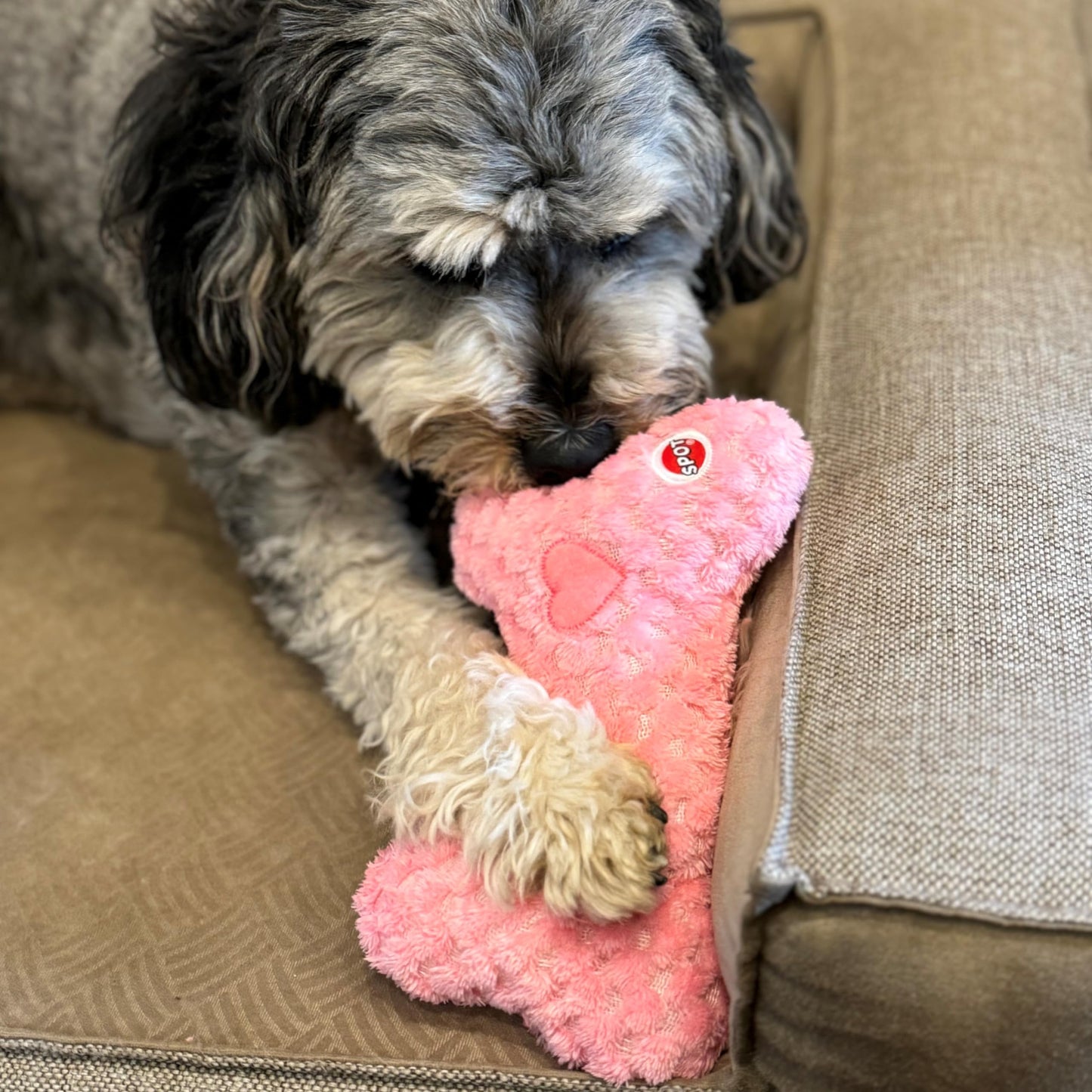 SPOT Soothers Warm Hug Bone - Calming Plush Dog Toy with Lavender Scented Beads, Removable Squeaker, Microwavable Warming Pouch, Separation Anxiety Relief, for Small to Medium Dogs and Puppies, 9in