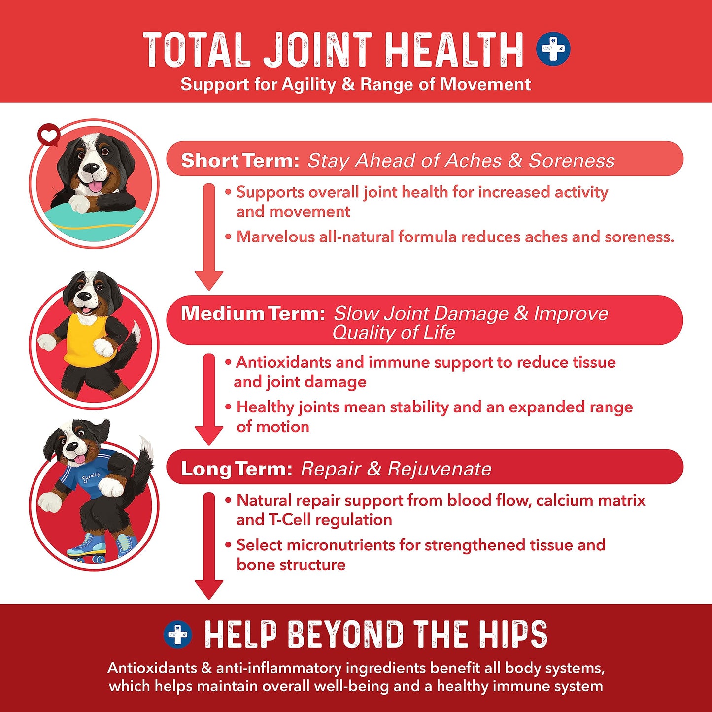 Bernie's Marvelous Mobility - Daily Total Joint Support for Dogs - 90 Soft Chews - Maintain & Rebuild Mobility, Supports Joint Tissue Health