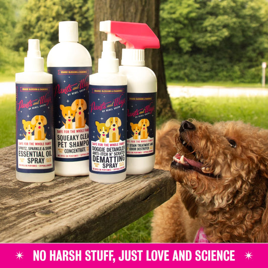 Pants & Wags by Rebel Green Squeaky Clean Pet Shampoo Concentrate - Orange Blossom & Chamomile - Hypoallergenic - No Dyes or Perfumes - 16 oz - 2 Pack