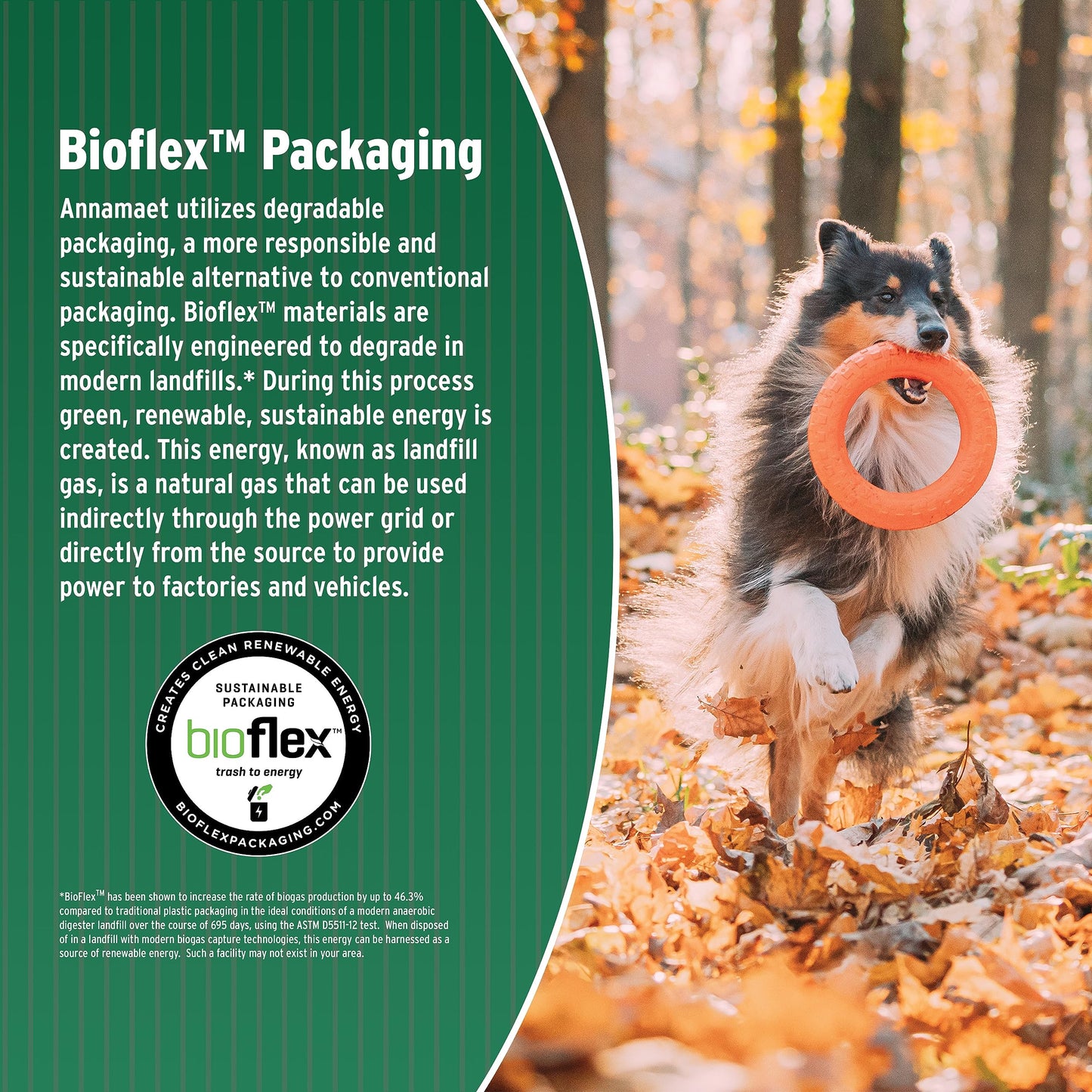 FIDO - Belly Bones for Dogs, 21 Yogurt Flavor Mini Dog Dental Treats (Made in USA) - 21 Count Dog Treats for Small Dogs - Plaque and Tartar Control for Fresh Breath, Digestive Health Support