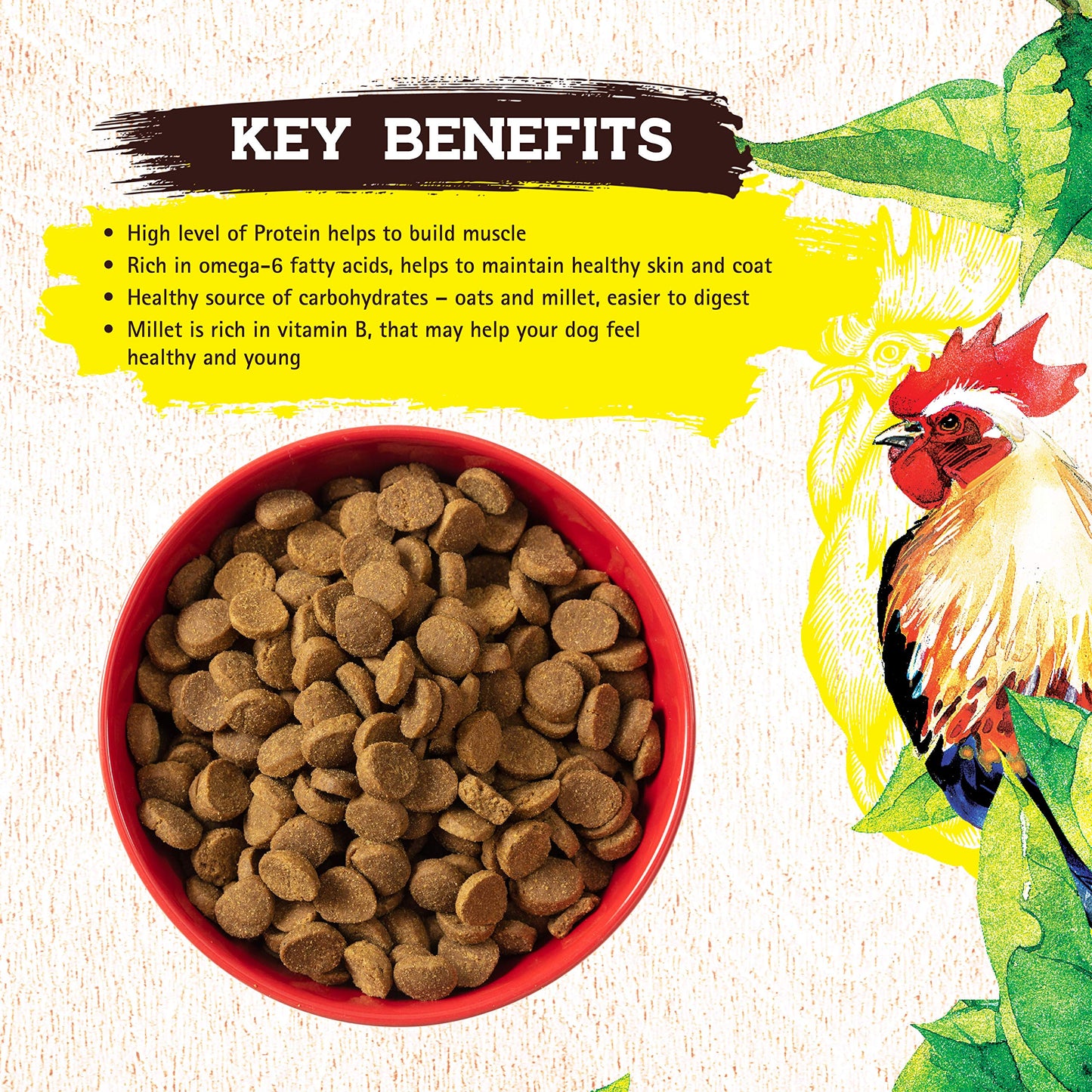 Pedigree Choice Cuts in Gravy Adult Soft Wet Dog Food 30-Count Variety Pack, 3.5 oz. Pouches